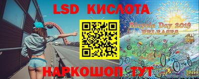 крисы Ирбит