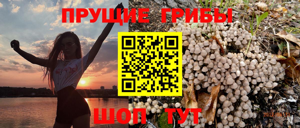 Кубинка  Псилоцибиновые грибы мухоморы  Вход с VPN  Псилоцибиновые грибы прущие грибы 